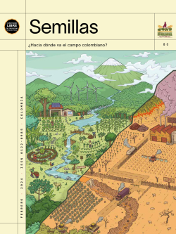 Gráfica alusiva a 80