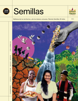 Gráfica alusiva a 81