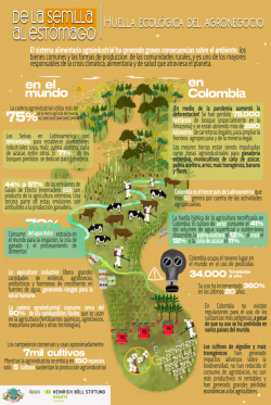 Gráfica alusiva a De la Semilla al estómago - Huella ecológica del agronegocio