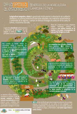 Gráfica alusiva a De la semilla al estómago - Beneficios de la agricultura campesina y étnica