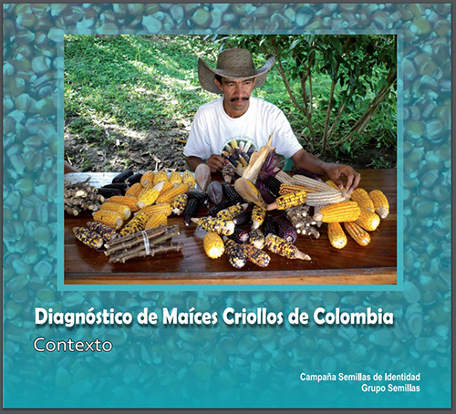 Gráfica alusiva a Diagnóstico de Maíces Criollos-Contexto