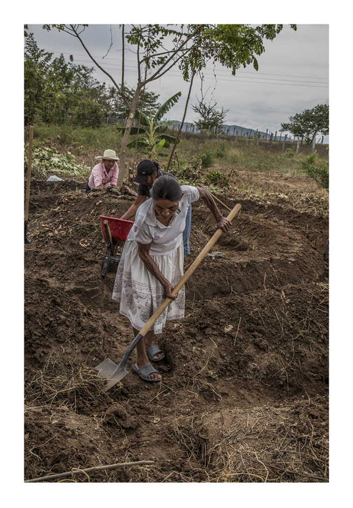 Gráfica alusiva a Huertos circulares en el sur del Tolima. Estrategia de adaptación frente al cambio climático.