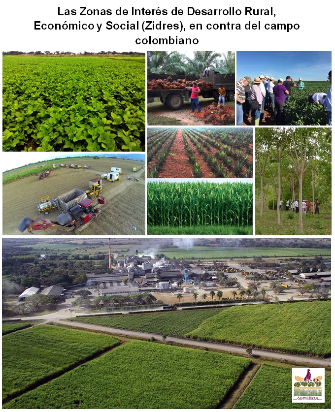 Gráfica alusiva a Las Zonas de Interés de Desarrollo Rural, Económico y Social (Zidres), en contra del campo colombiano