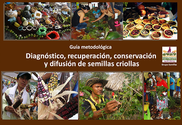 Gráfica alusiva a Guía metodológica. Diagnóstico, recuperación, conservación y difusión de semillas criollas