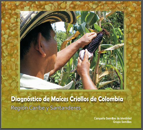 Grafica alusiva a Diagnóstico de Maíces Criollos-Región Caribe y Santanderes