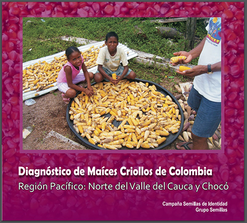 Gráfica alusiva a Diagnóstico de Maíces Criollos-Región Pacífico