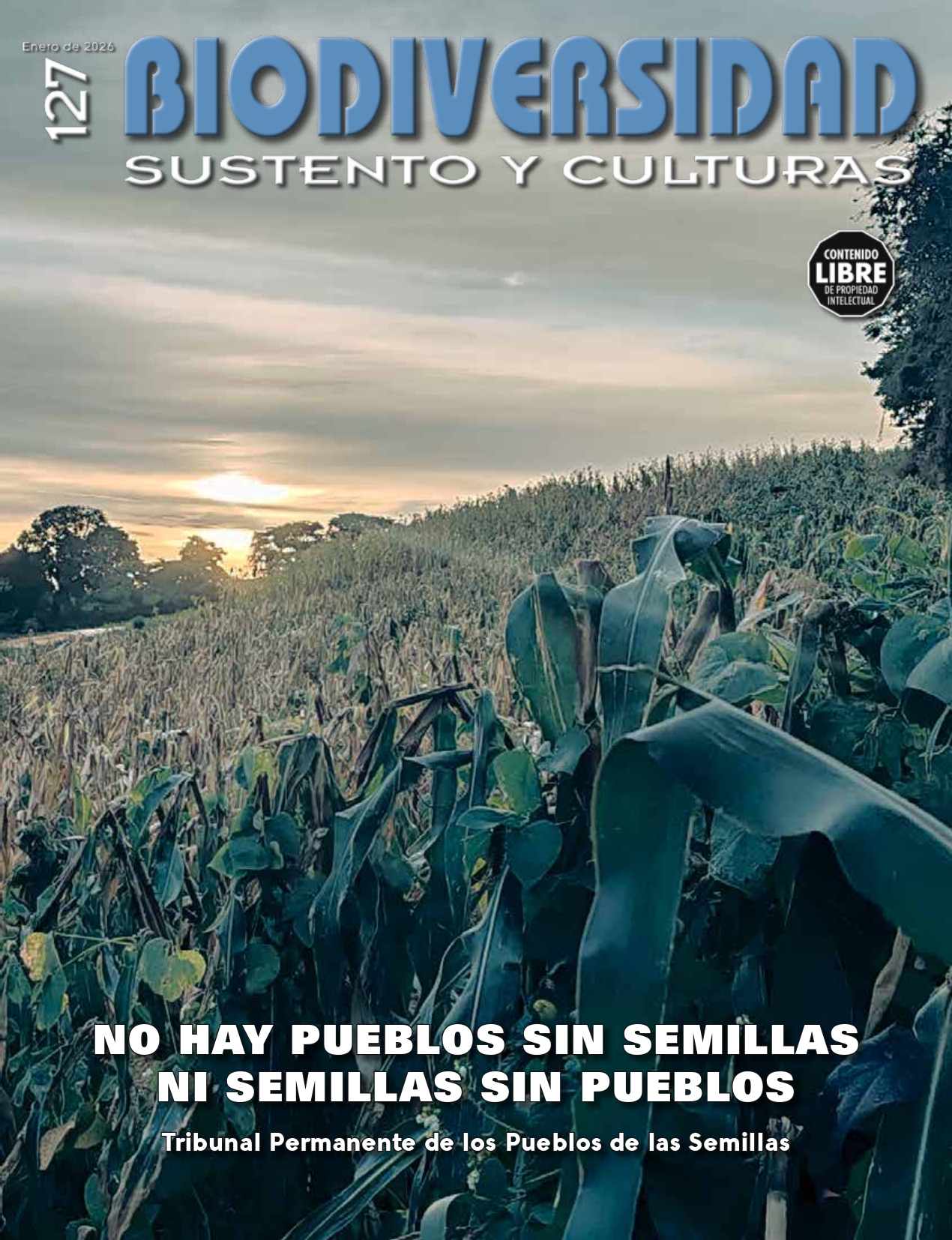 Imagen del banner de la sección