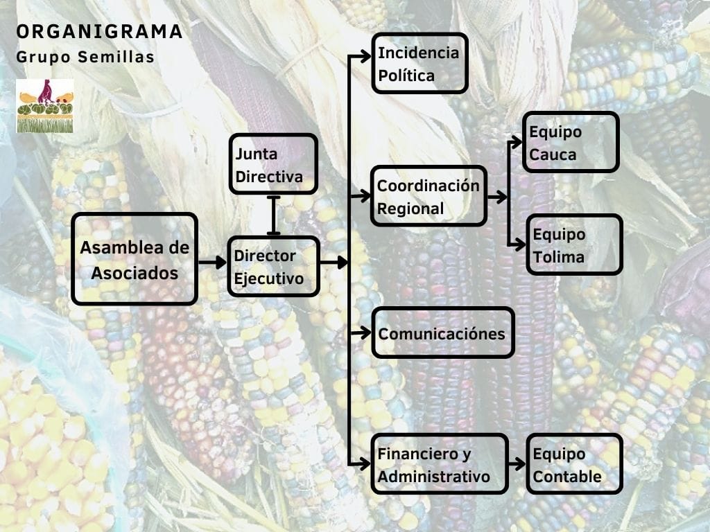 Gráfica alusiva a 