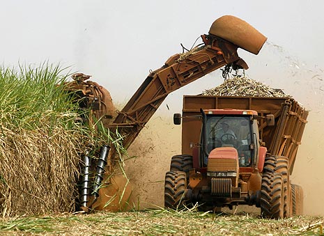 Gráfica alusiva a Agrocombustibles