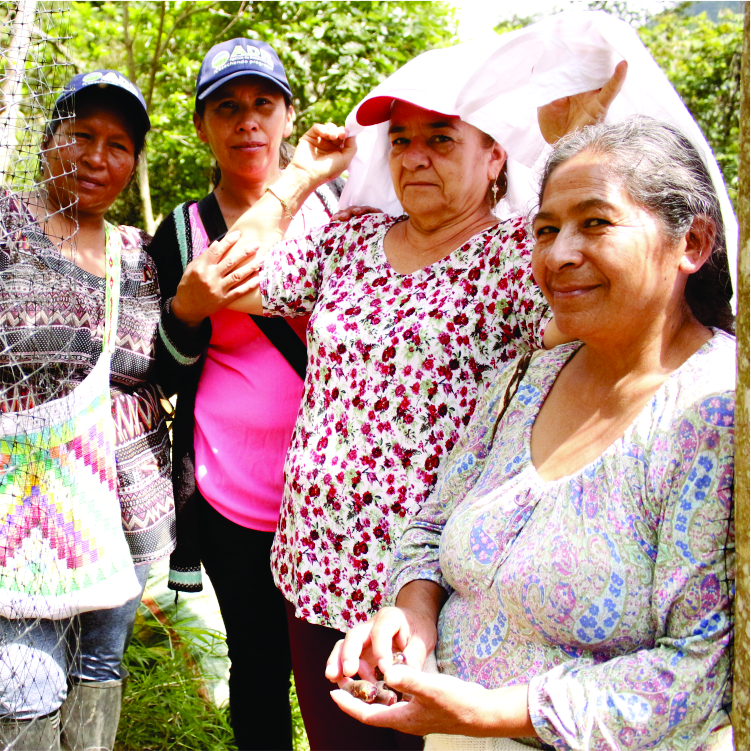 Gráfica alusiva a Género/lucha de las mujeres